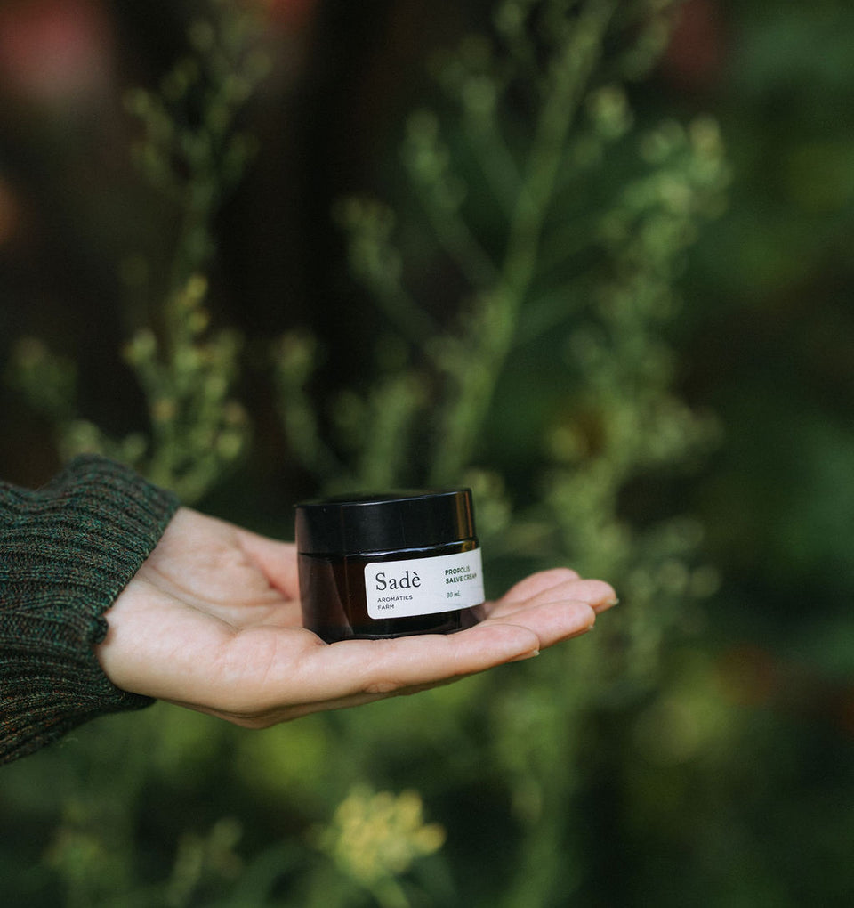 משחת פרופוליס