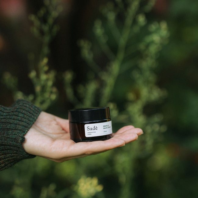 משחת פרופוליס