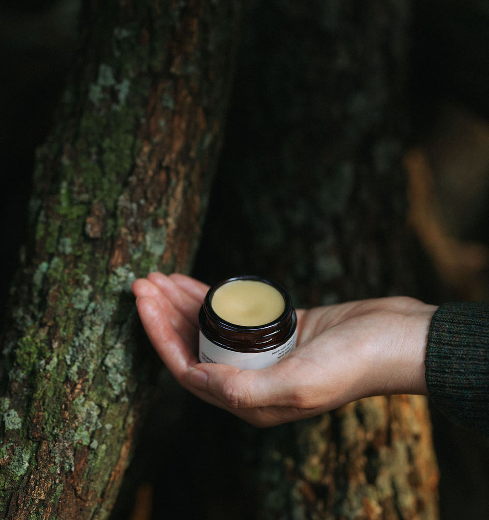 משחת פרופוליס