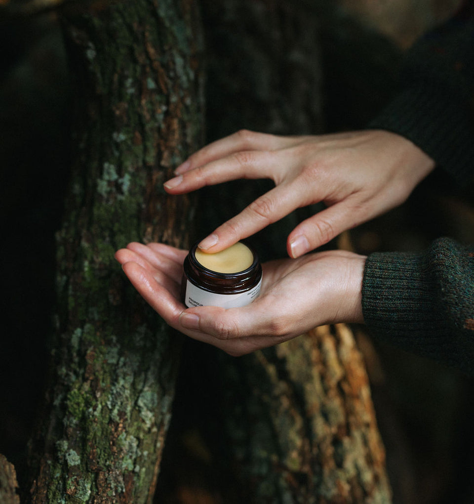 משחת פרופוליס