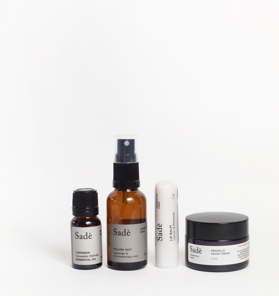 Calm & Carry Mini Kit